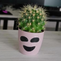 oleksandr_moik