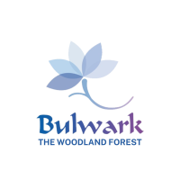 bulwarkthewoodlandforest